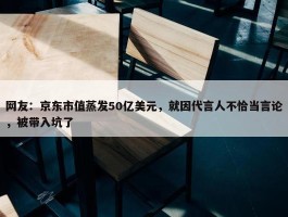 网友：京东市值蒸发50亿美元，就因代言人不恰当言论，被带入坑了