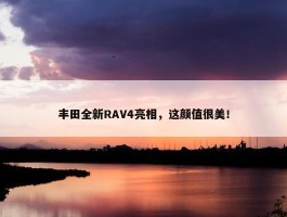 丰田全新RAV4亮相，这颜值很美！