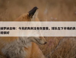 赫罗纳主帅：今天的失利没有伤害我，球队在下半场的表现很好