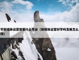 学新媒体运营需要什么专业（新媒体运营好学吗发展怎么样）