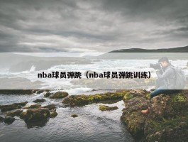 nba球员弹跳（nba球员弹跳训练）