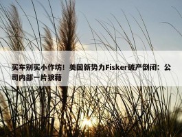 买车别买小作坊！美国新势力Fisker破产倒闭：公司内部一片狼藉