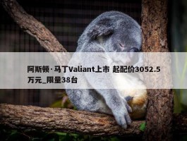 阿斯顿·马丁Valiant上市 起配价3052.5万元_限量38台