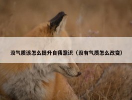 没气质该怎么提升自我意识（没有气质怎么改变）