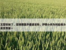 王楚钦输了，亚锦赛国乒遭遇首败，伊朗小将为何能爆冷赢世界第一