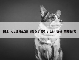 博主TGS现场试玩《影之刃零》：战斗爽爆 画质优秀