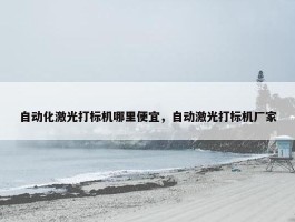 自动化激光打标机哪里便宜，自动激光打标机厂家