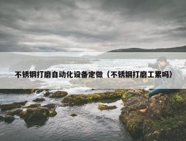 不锈钢打磨自动化设备定做（不锈钢打磨工累吗）