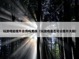 玩游戏能提升自我吗男孩（玩游戏是否可以提升大脑）