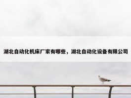 湖北自动化机床厂家有哪些，湖北自动化设备有限公司