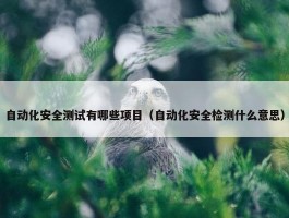 自动化安全测试有哪些项目（自动化安全检测什么意思）