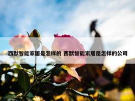 西默智能家居是怎样的 西默智能家居是怎样的公司