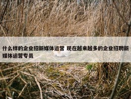 什么样的企业招新媒体运营 现在越来越多的企业招聘新媒体运营专员