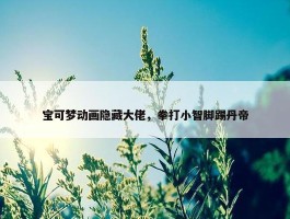 宝可梦动画隐藏大佬，拳打小智脚踢丹帝