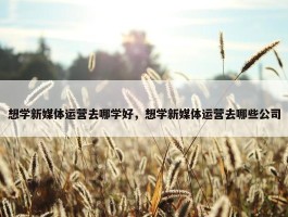 想学新媒体运营去哪学好，想学新媒体运营去哪些公司