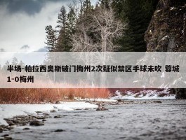 半场-帕拉西奥斯破门梅州2次疑似禁区手球未吹 蓉城1-0梅州