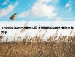 无锡柏族自动化公司怎么样 无锡柏族自动化公司怎么样知乎