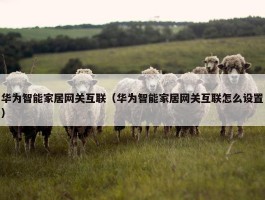 华为智能家居网关互联（华为智能家居网关互联怎么设置）