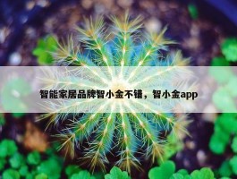 智能家居品牌智小金不错，智小金app