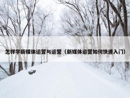 怎样学新媒体运营与运营（新媒体运营如何快速入门）