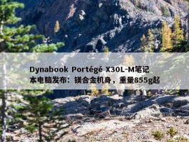 Dynabook Portégé X30L-M笔记本电脑发布：镁合金机身，重量855g起