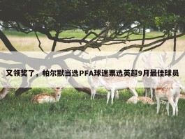 又领奖了，帕尔默当选PFA球迷票选英超9月最佳球员