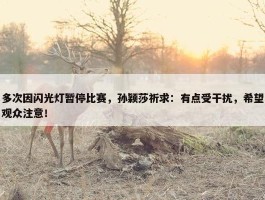 多次因闪光灯暂停比赛，孙颖莎祈求：有点受干扰，希望观众注意！