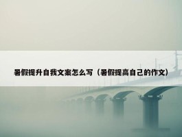 暑假提升自我文案怎么写（暑假提高自己的作文）