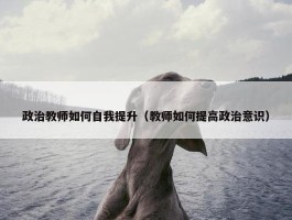 政治教师如何自我提升（教师如何提高政治意识）