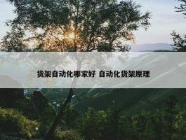 货架自动化哪家好 自动化货架原理