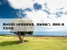 费内巴切2-0安塔利亚体育，塔迪奇破门，塔利松-凯尔文乌龙