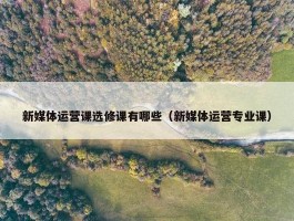 新媒体运营课选修课有哪些（新媒体运营专业课）