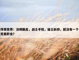 传奇世界：法师脆皮，战士手短，道士刮痧，就没有一个完美职业？