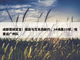 成都蓉城官宣！提前与艾克森解约，34场轰10球，或重返广州队