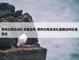 常州兰陵自动化是国企吗 常州兰陵自动化是国企吗还是民企