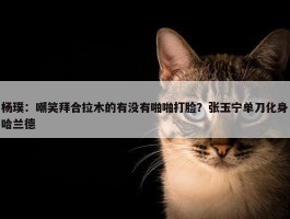 杨璞：嘲笑拜合拉木的有没有啪啪打脸？张玉宁单刀化身哈兰德