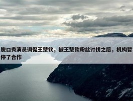 脱口秀演员调侃王楚钦，被王楚钦粉丝讨伐之后，机构暂停了合作