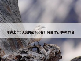 哈弗上市5天交付超900台！待交付订单6029台