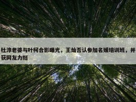 杜淳老婆与叶柯合影曝光，王灿否认参加名媛培训班，并获网友力挺