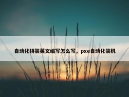 自动化拼装英文缩写怎么写，pxe自动化装机