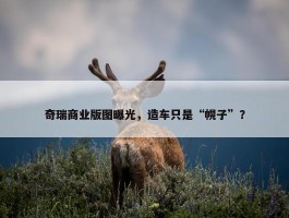 奇瑞商业版图曝光，造车只是“幌子”？