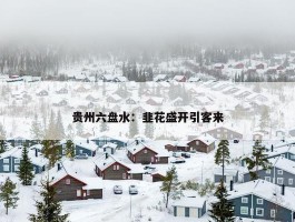 贵州六盘水：韭花盛开引客来