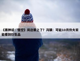 《黑神话：悟空》周边要上了？冯骥：可能10月份大家能看到衍生品