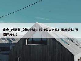 肖央_赵丽颖_刘烨主演电影《浴火之路》票房破亿 豆瓣评分6.5