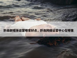 黔南新媒体运营哪家好点，黔南网络运营中心在哪里