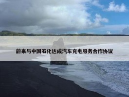 蔚来与中国石化达成汽车充电服务合作协议