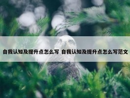 自我认知及提升点怎么写 自我认知及提升点怎么写范文