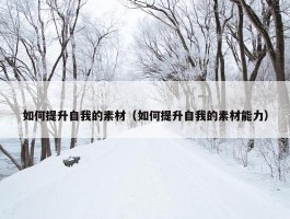 如何提升自我的素材（如何提升自我的素材能力）