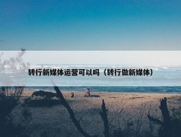 转行新媒体运营可以吗（转行做新媒体）