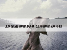 上海自动化喷码机多少钱（上海喷码机公司排名）